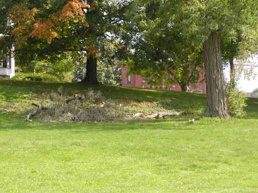 Back yard of Presbyterian Manse (2) - August 16, 2008